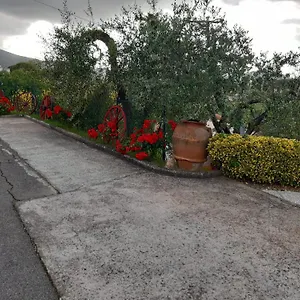 I Coppi San Gimignano